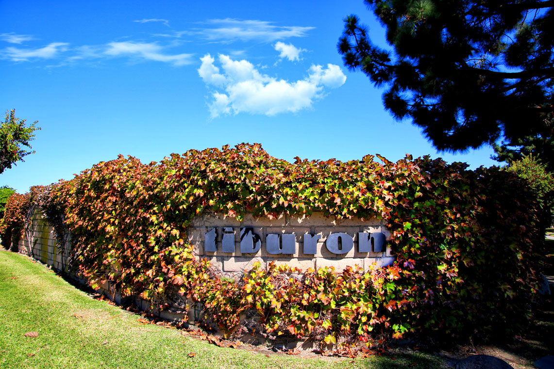 Work Image