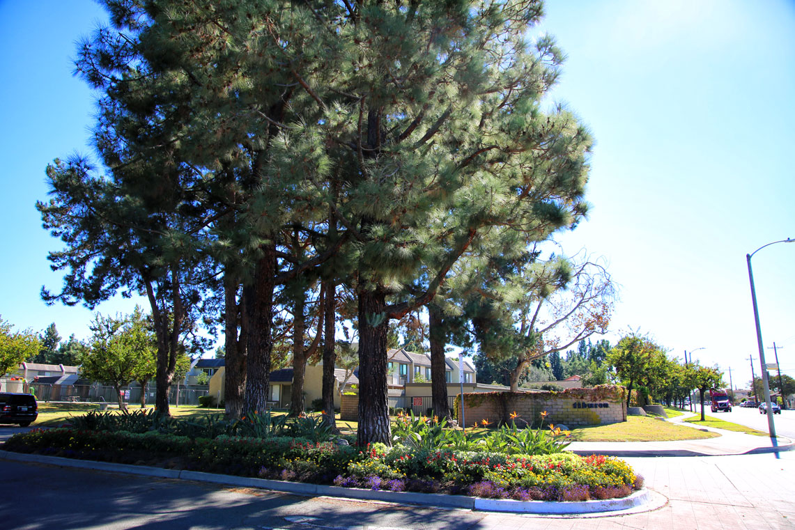 Work Image