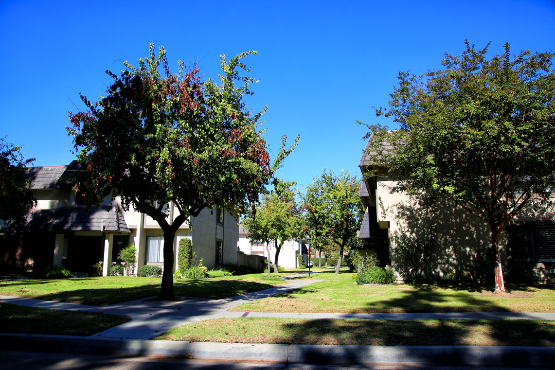 Work Image