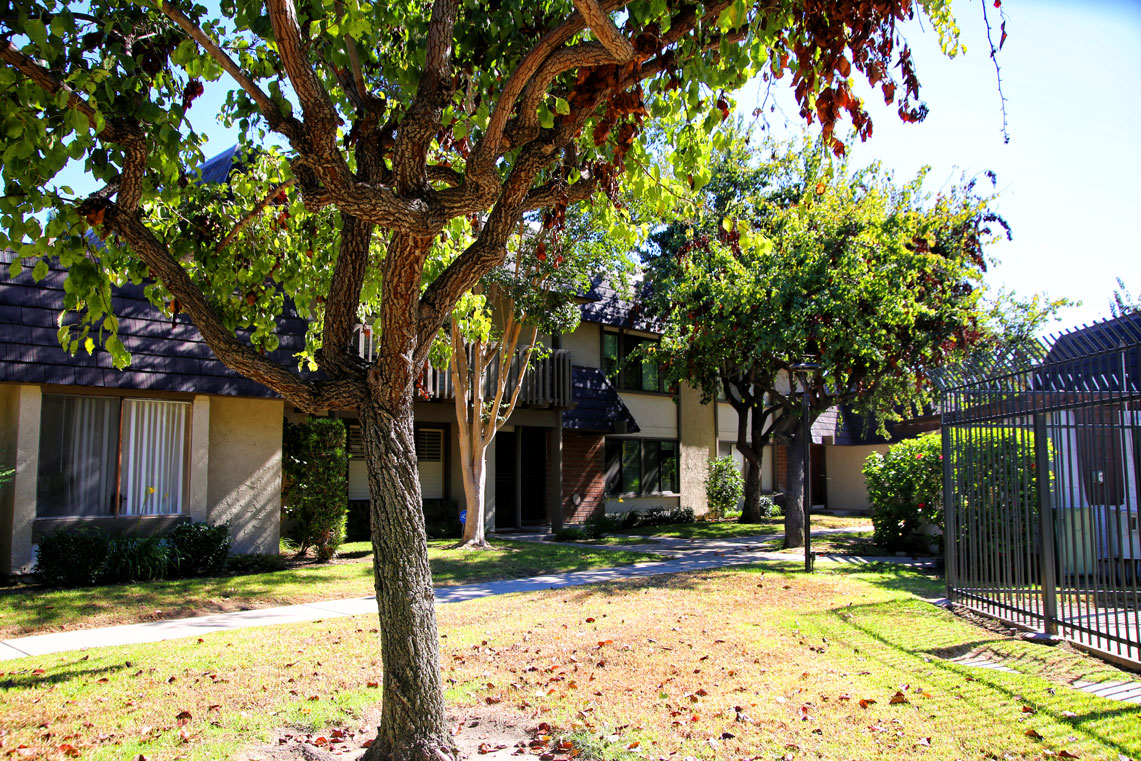 Work Image